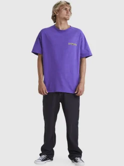 Quiksilver Tees|Boogieman T-Shirt Passion Flower
