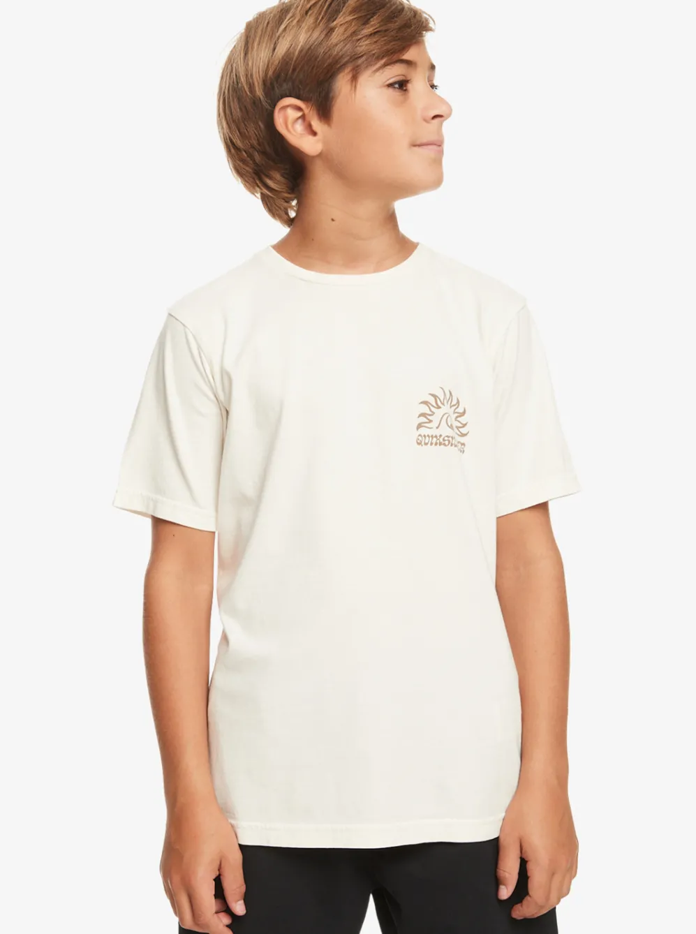 Quiksilver Tees|Boy'S 8-16 Earthy Type T-Shirt Birch