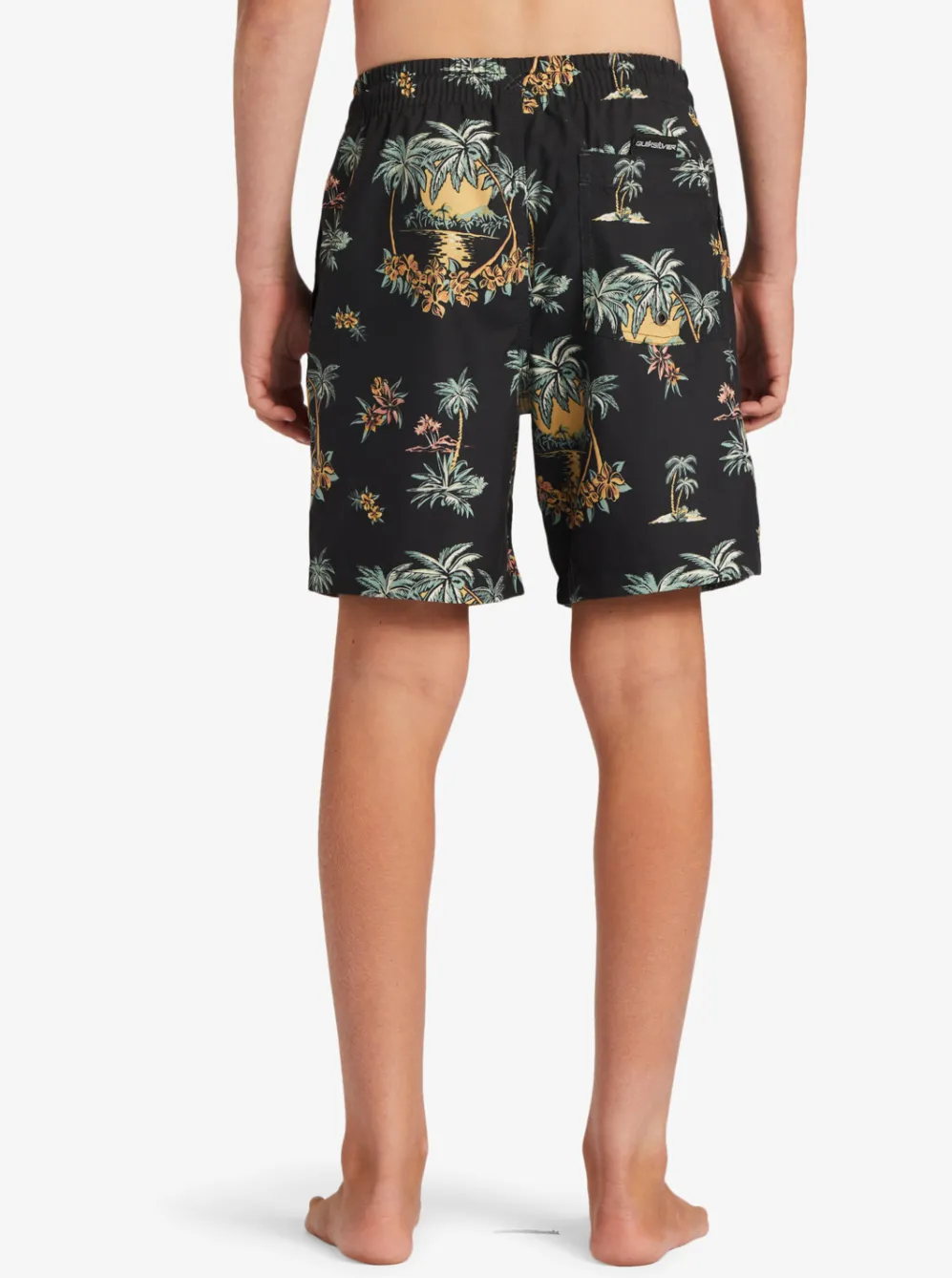Quiksilver Boardshorts|Boy'S 8-16 Everyday Mix Vl 15Nb Elastic Waist Shorts Black Palm Spritz