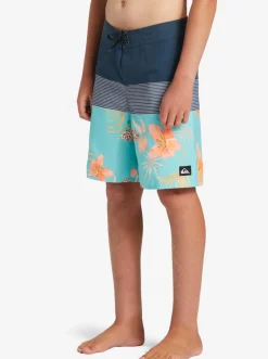 Quiksilver Shorts|Boy'S 8-16 Everyday Panel 17