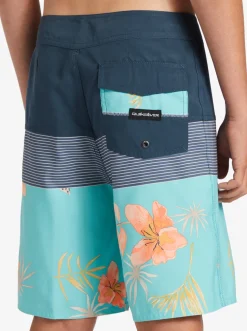 Quiksilver Shorts|Boy'S 8-16 Everyday Panel 17