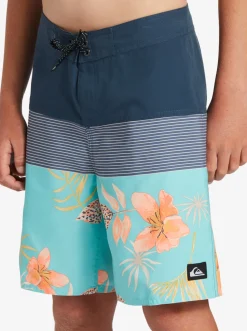 Quiksilver Shorts|Boy'S 8-16 Everyday Panel 17