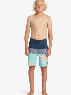 Quiksilver Shorts|Boy'S 8-16 Everyday Panel 17