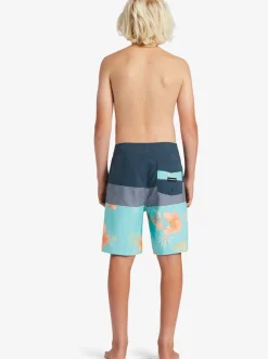 Quiksilver Shorts|Boy'S 8-16 Everyday Panel 17