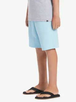 Quiksilver Shorts|Boy'S 8-16 Ocean Elastic 18