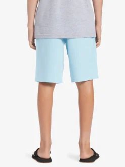 Quiksilver Shorts|Boy'S 8-16 Ocean Elastic 18