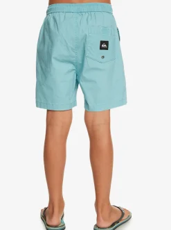 Quiksilver Shorts|Boy'S 8-16 Taxer 15