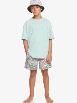 Quiksilver Tees|Boy'S 8-16 Visions T-Shirt Pastel Turquoise