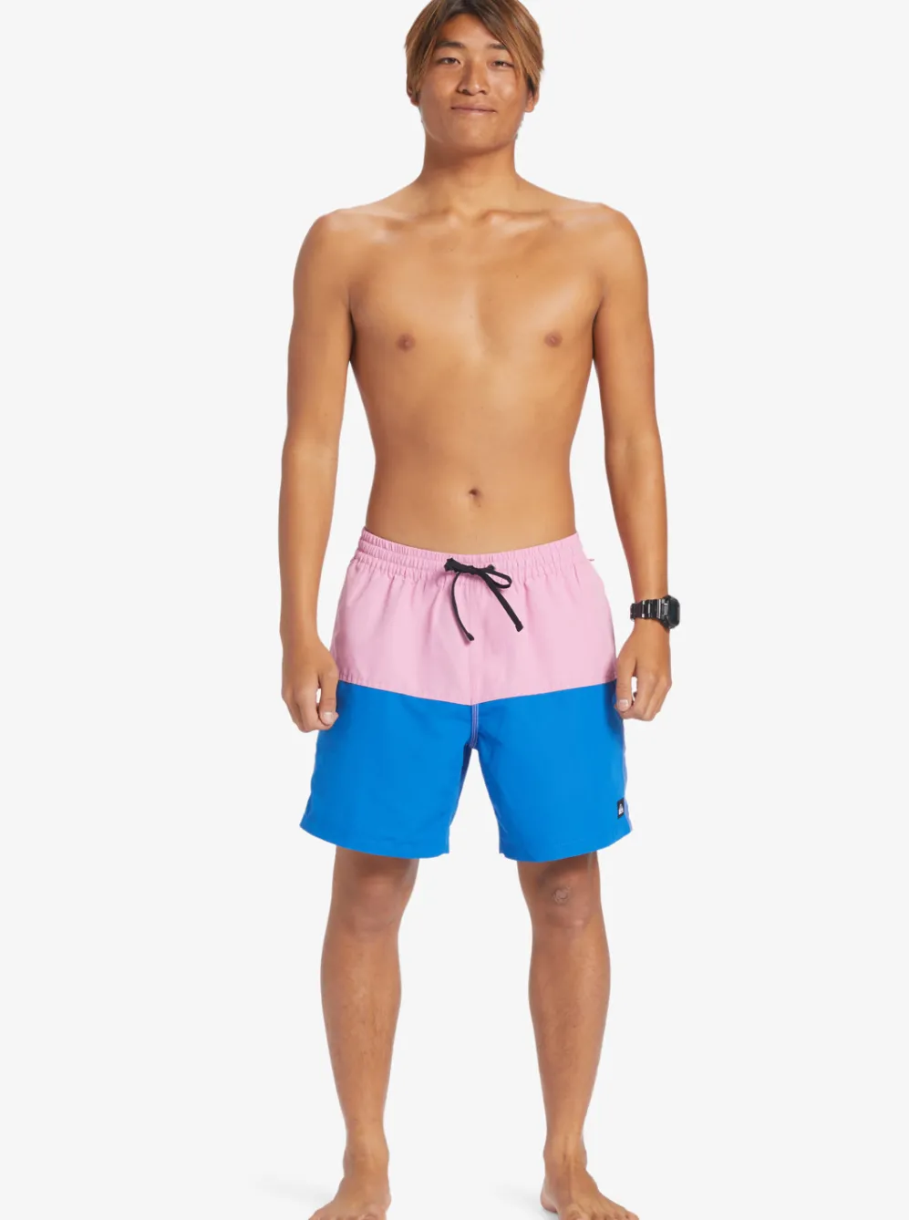 Quiksilver Elastic Waist|Butt Logo 17" Volleys Moonlite Mauve