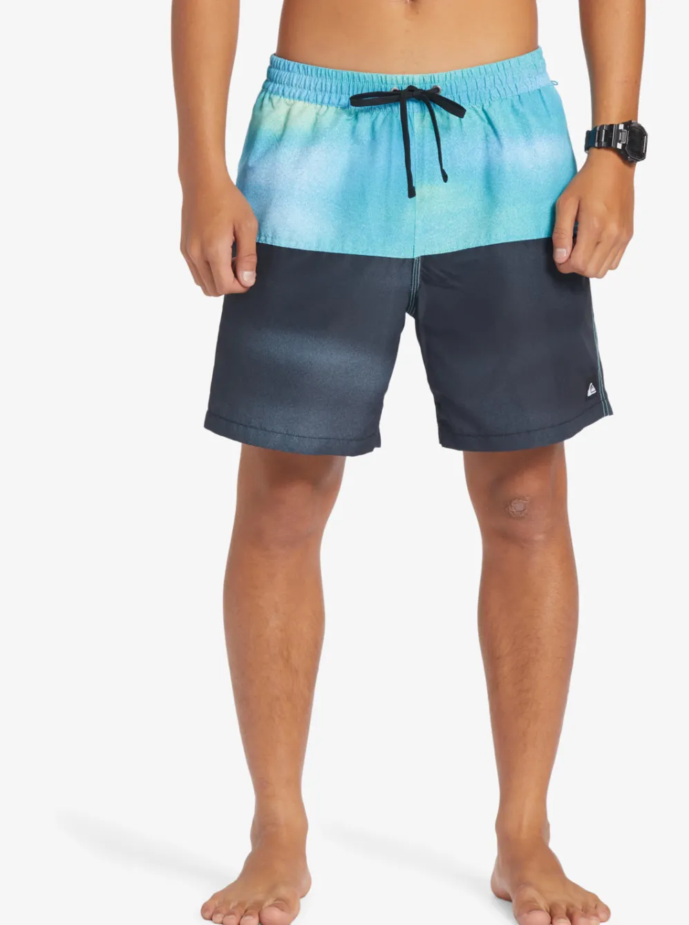 Quiksilver Elastic Waist|Butt Logo 17" Volleys River Blue