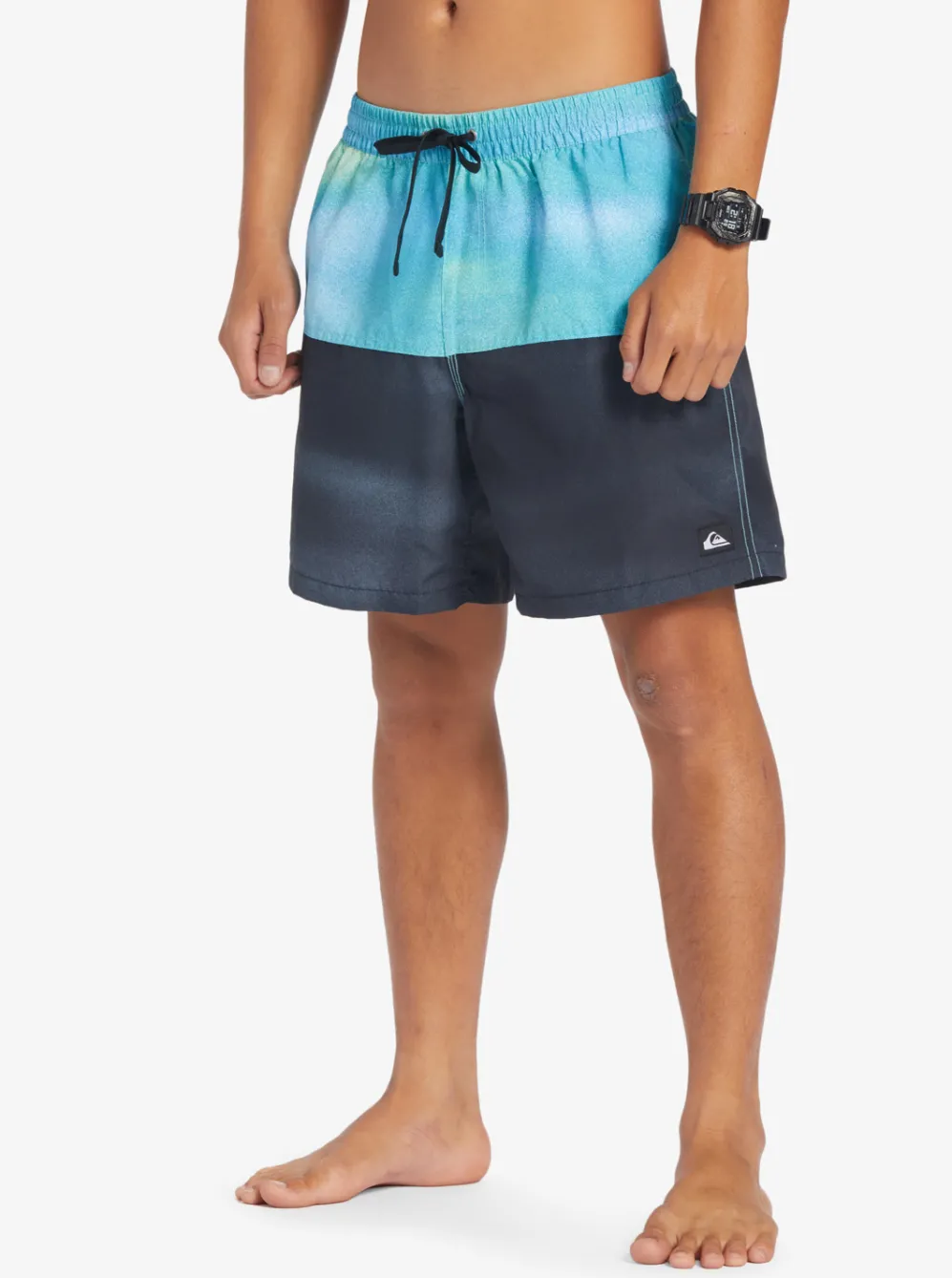 Quiksilver Elastic Waist|Butt Logo 17" Volleys River Blue