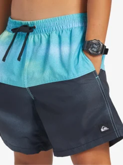 Quiksilver Elastic Waist|Butt Logo 17