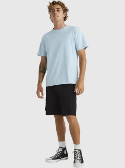 Quiksilver Shorts & Amphibians|Equalizer 20