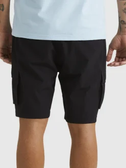 Quiksilver Shorts & Amphibians|Equalizer 20