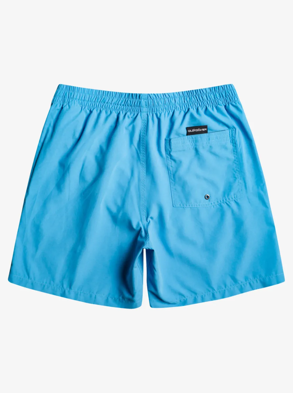 Quiksilver Elastic Waist|Everyday 17" Volleys For Young Men Blithe