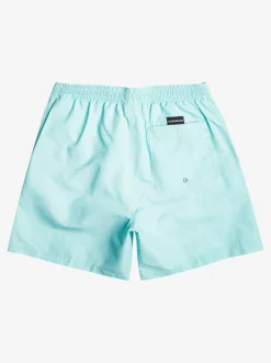 Quiksilver Elastic Waist|Everyday 17" Volleys For Young Men Pastel Turquoise
