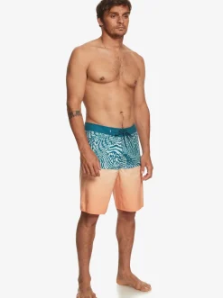 Quiksilver Boardshorts|Everyday Division 20