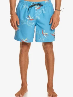 Quiksilver Boardshorts|Everyday Mix 17