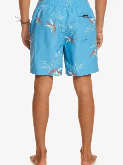 Quiksilver Boardshorts|Everyday Mix 17