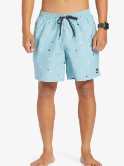 Quiksilver Boardshorts|Everyday Mix 17
