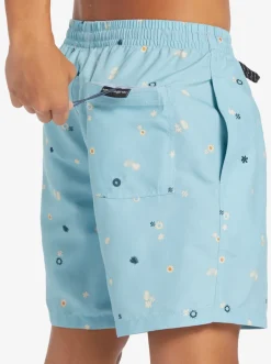 Quiksilver Boardshorts|Everyday Mix 17