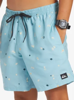 Quiksilver Boardshorts|Everyday Mix 17