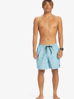 Quiksilver Boardshorts|Everyday Mix 17
