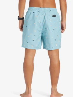 Quiksilver Boardshorts|Everyday Mix 17