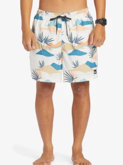Quiksilver Boardshorts|Everyday Mix 17