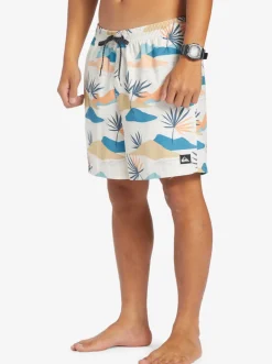 Quiksilver Boardshorts|Everyday Mix 17