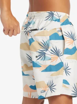 Quiksilver Boardshorts|Everyday Mix 17