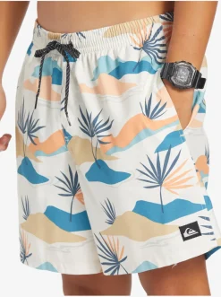 Quiksilver Boardshorts|Everyday Mix 17