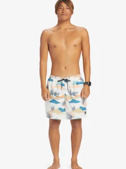 Quiksilver Boardshorts|Everyday Mix 17
