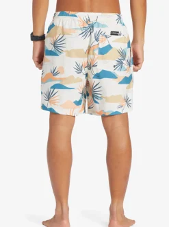 Quiksilver Boardshorts|Everyday Mix 17