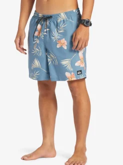 Quiksilver Boardshorts|Everyday Mix 17