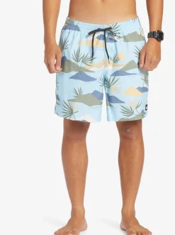 Quiksilver Boardshorts|Everyday Mix 17