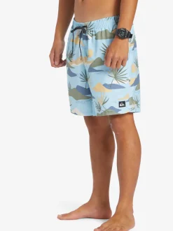 Quiksilver Boardshorts|Everyday Mix 17
