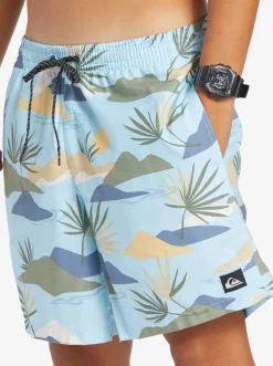 Quiksilver Boardshorts|Everyday Mix 17
