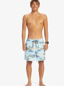Quiksilver Boardshorts|Everyday Mix 17