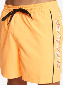 Quiksilver Elastic Waist|Everyday Vert 16