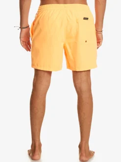 Quiksilver Elastic Waist|Everyday Vert 16