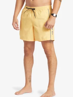 Quiksilver Elastic Waist|Everyday Vert 16