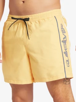 Quiksilver Elastic Waist|Everyday Vert 16