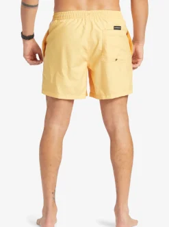 Quiksilver Elastic Waist|Everyday Vert 16
