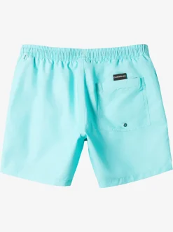Quiksilver Elastic Waist|Everyday Vert 16" Volleys Blue Radiance