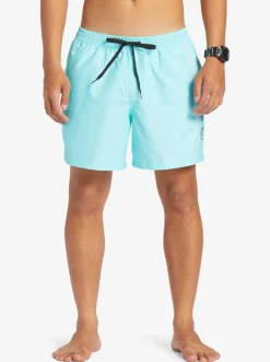 Quiksilver Elastic Waist|Everyday Vert 16