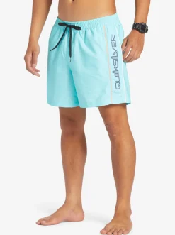 Quiksilver Elastic Waist|Everyday Vert 16