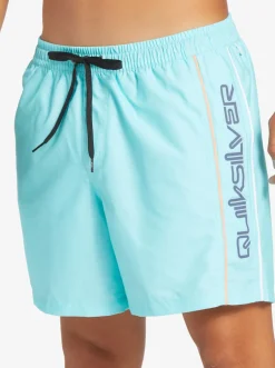 Quiksilver Elastic Waist|Everyday Vert 16