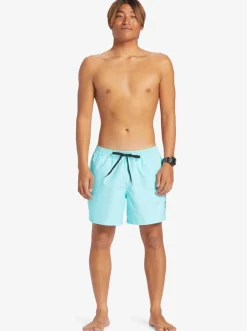 Quiksilver Elastic Waist|Everyday Vert 16
