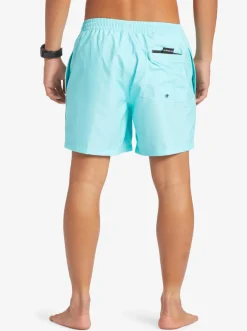 Quiksilver Elastic Waist|Everyday Vert 16
